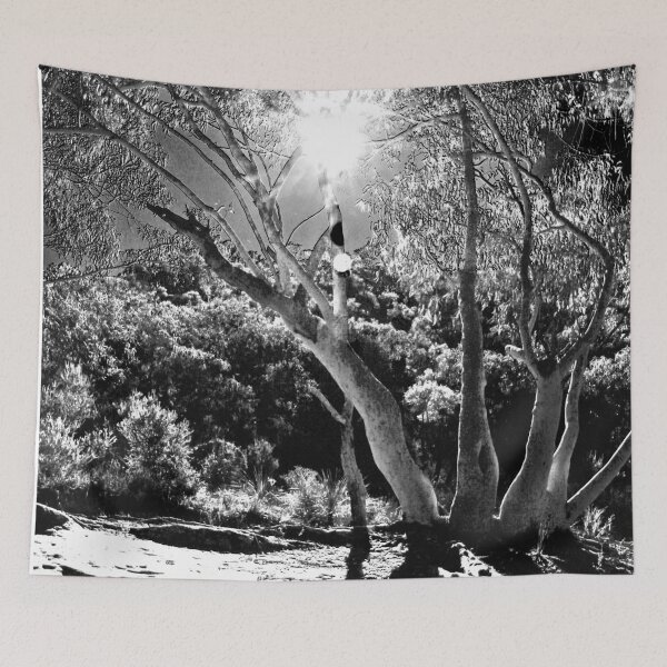Item preview, Sunshine thru the Gumtrees! designed and sold by Mickangelhere.