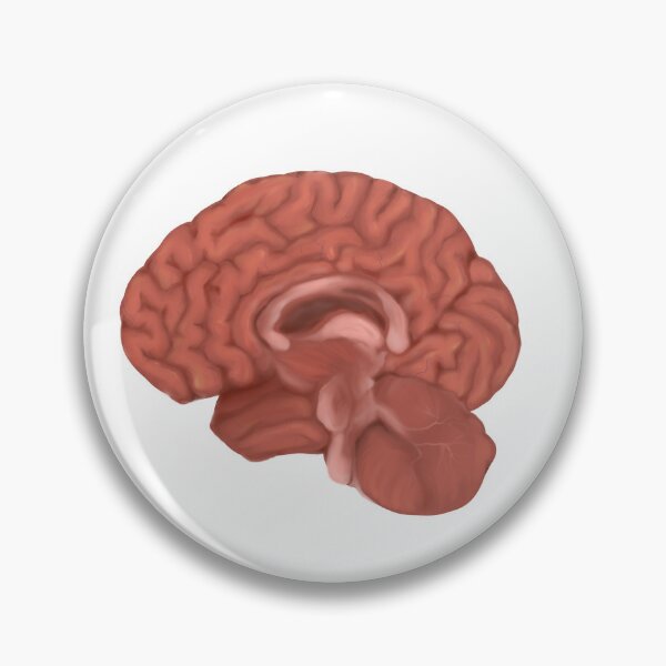 Item preview, Human brain designed and sold by pastelquartz.