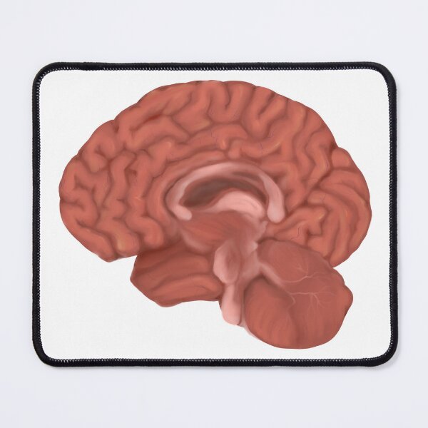 Item preview, Human brain designed and sold by pastelquartz.