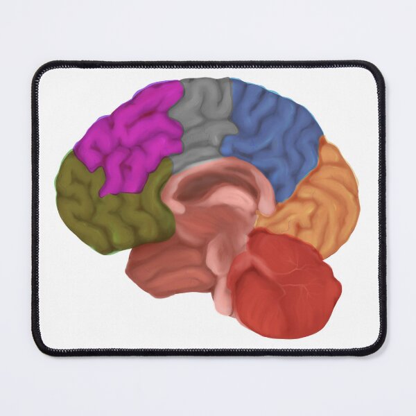 Item preview, Sections of the human brain designed and sold by pastelquartz.