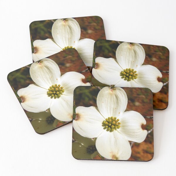 Item preview, Almost Fully Blooming Dogwood designed and sold by gistinker.