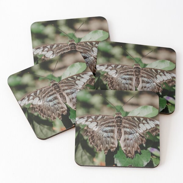 Item preview, The Blue Clipper Butterfly designed and sold by LindsayVTravels.