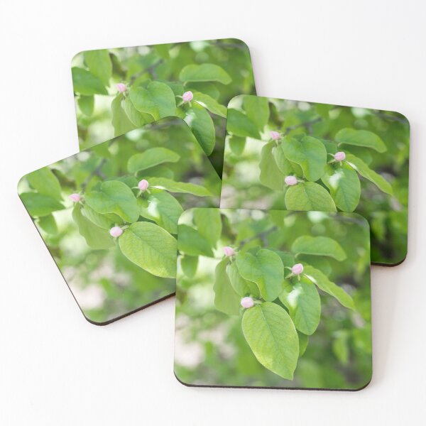 Item preview, Quince Fruit Buds and Velvety Leaves designed and sold by Georgia Mizuleva.