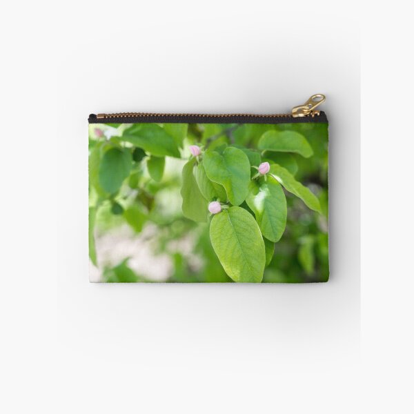 Item preview, Quince Fruit Buds and Velvety Leaves designed and sold by Georgia Mizuleva.
