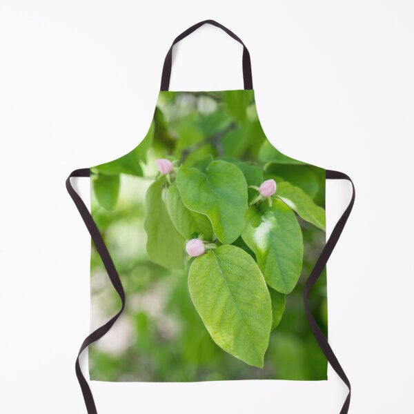 Item preview, Quince Fruit Buds and Velvety Leaves designed and sold by Georgia Mizuleva.