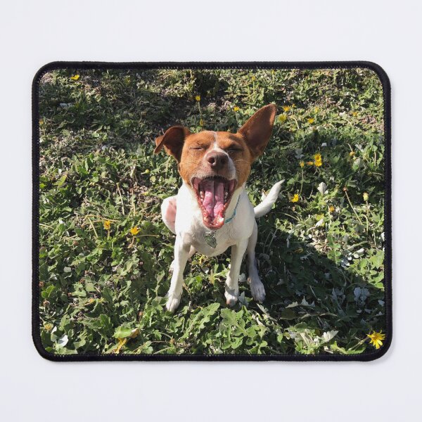 Item preview, Jake the Talking Dog designed and sold by hkt282844.