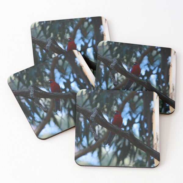 Item preview, Crimson Rosella  designed and sold by Pixxowl.