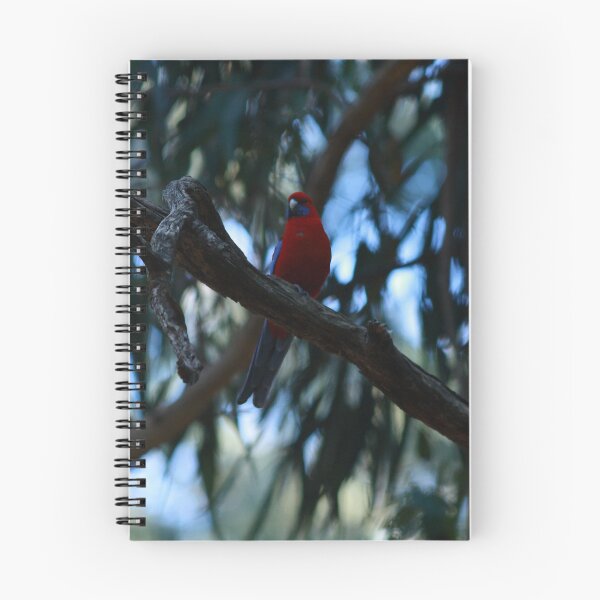 Item preview, Crimson Rosella  designed and sold by Pixxowl.