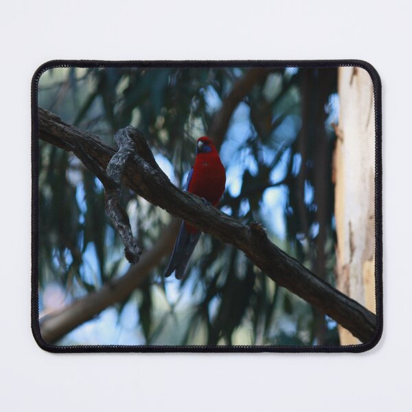Item preview, Crimson Rosella designed and sold by Pixxowl.