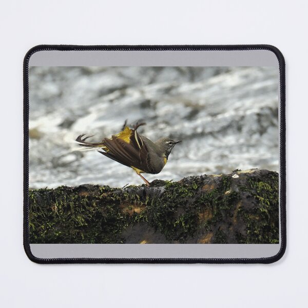 Item preview, Grey Wagtail designed and sold by Madcreat.