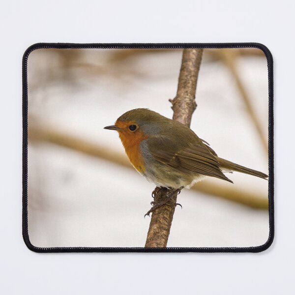 Item preview, Still on the snow. European robin designed and sold by Jouko Lehto Photography.