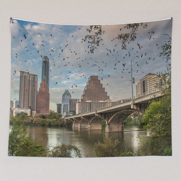 Item preview, Austin Texas Skyline Bats Ladybird Lake  designed and sold by oz10.