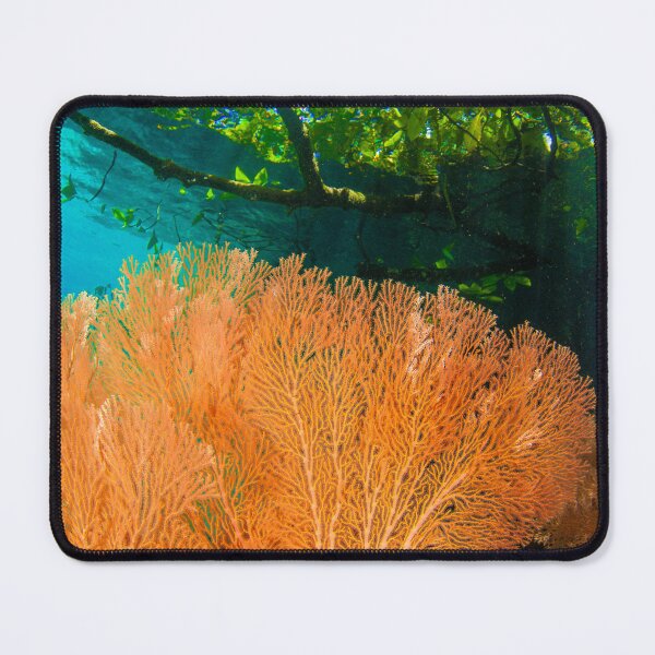 Item preview, Fans in the forest designed and sold by David Wachenfeld.