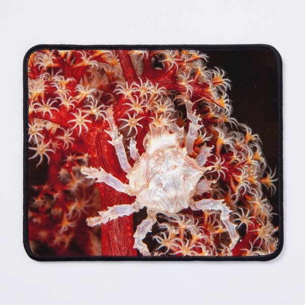 Item preview, Candy crab designed and sold by David Wachenfeld.