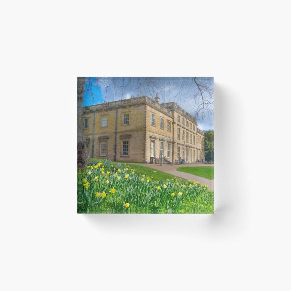 Item preview, Cannon Hall designed and sold by Alisonchambers2.