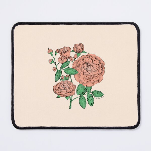 Item preview, Apricot Rosette Rose Bloom Full 26-40 Petals In 3+ Rows designed and sold by Rachael Taylor.