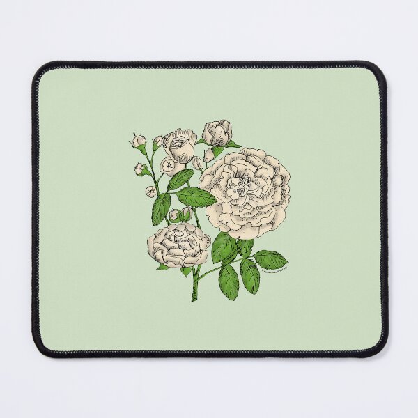 Item preview, Cream Rosette Rose Bloom Full 26-40 Petals In 3+ Rows designed and sold by Rachael Taylor.