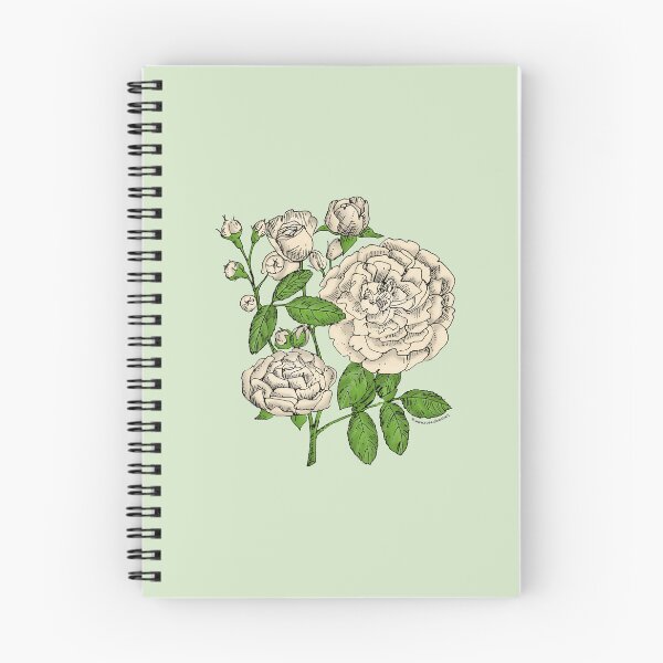 Item preview, Cream Rosette Rose Bloom Full 26-40 Petals In 3+ Rows designed and sold by Rachael Taylor.