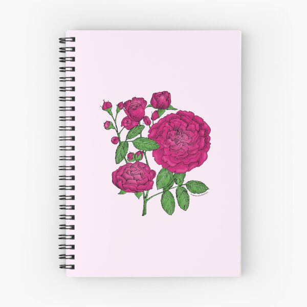 Item preview, Deep Pink Rosette Rose Bloom Full 26-40 Petals In 3+ Rows designed and sold by Rachael Taylor.