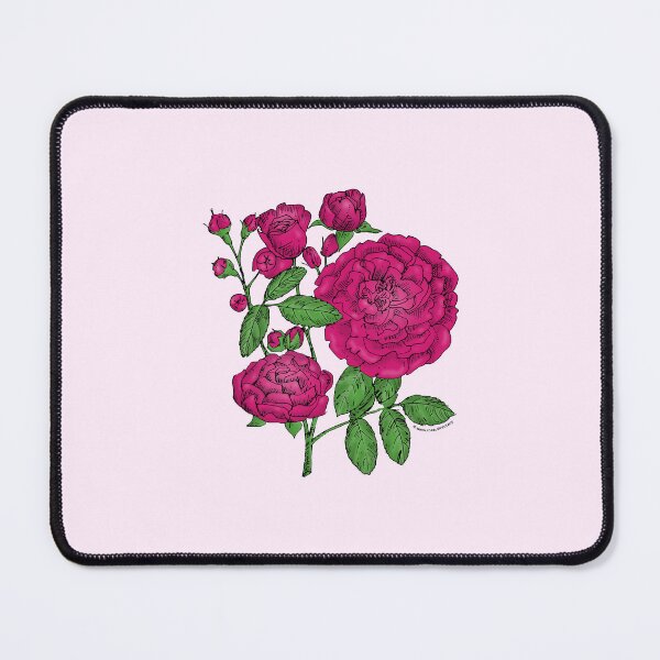 Item preview, Deep Pink Rosette Rose Bloom Full 26-40 Petals In 3+ Rows designed and sold by Rachael Taylor.