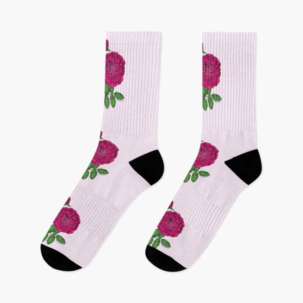 Item preview, Deep Pink Rosette Rose Bloom Full 26-40 Petals In 3+ Rows designed and sold by Rachael Taylor.
