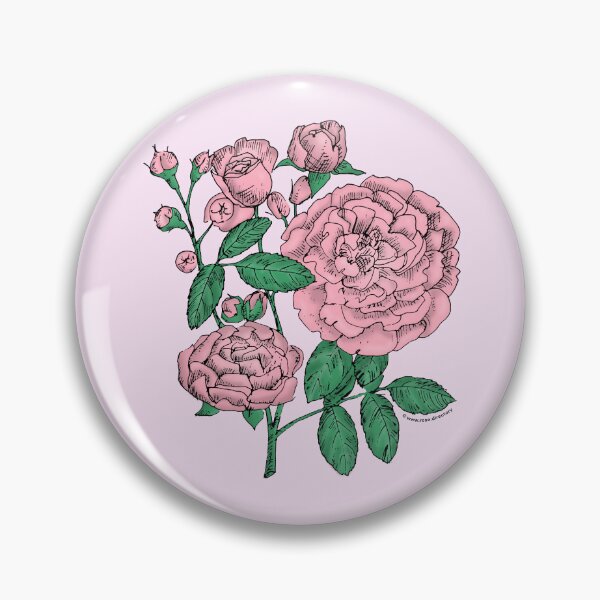 Item preview, Light Pink Rosette Rose Bloom Full 26-40 Petals In 3+ Rows designed and sold by Rachael Taylor.