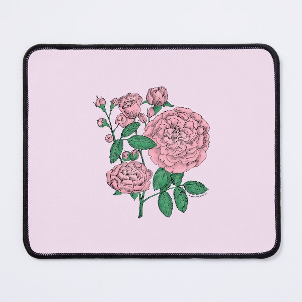 Item preview, Light Pink Rosette Rose Bloom Full 26-40 Petals In 3+ Rows designed and sold by Rachael Taylor.