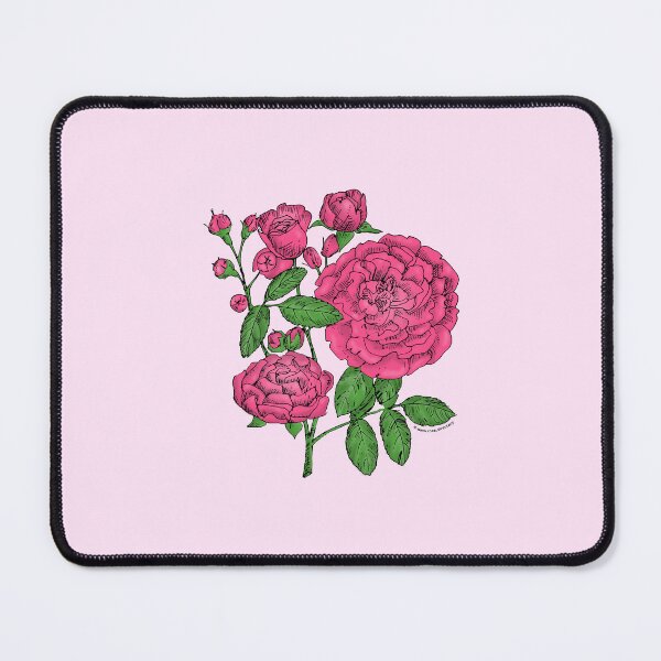 Item preview, Mid Pink Rosette Rose Bloom Full 26-40 Petals In 3+ Rows designed and sold by Rachael Taylor.