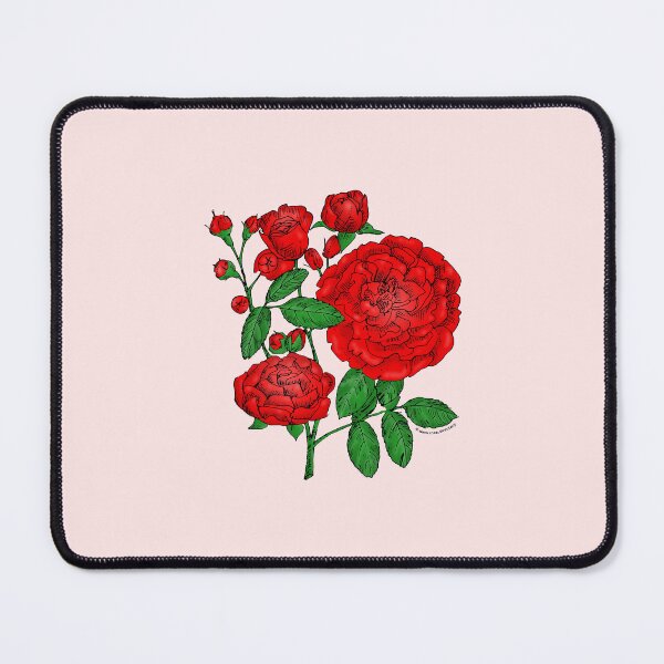 Item preview, Bright Red Rosette Rose Bloom Full 26-40 Petals In 3+ Rows designed and sold by Rachael Taylor.