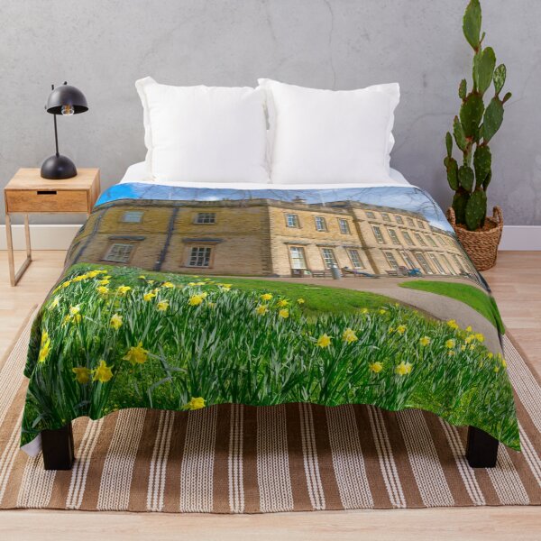 Item preview, Cannon Hall designed and sold by Alisonchambers2.