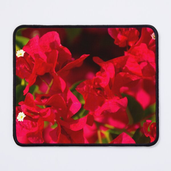 Item preview, Red Bougainvillea designed and sold by MercerImages.
