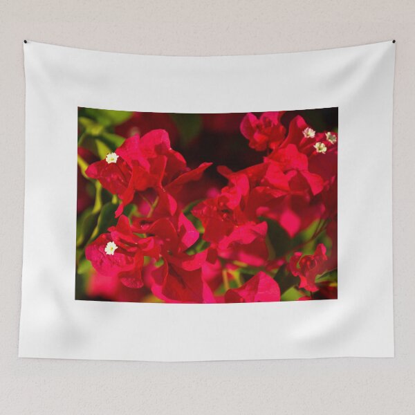 Item preview, Red Bougainvillea designed and sold by MercerImages.