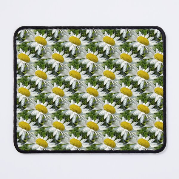 Item preview, White Shasta Daisy Seamless Pattern designed and sold by taiche.