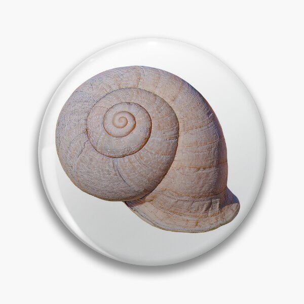 Item preview, Sea shell designed and sold by Dalyndigital Photography.