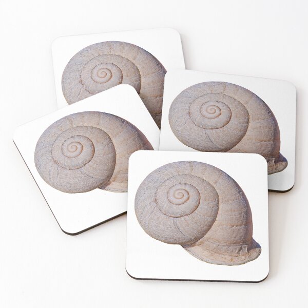 Item preview, Sea shell designed and sold by Dalyndigital Photography.