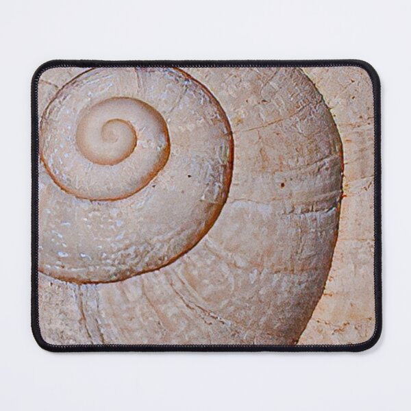 Item preview, Sea shell designed and sold by Dalyndigital Photography.
