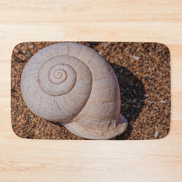 Item preview, Sea shell designed and sold by Dalyndigital Photography.