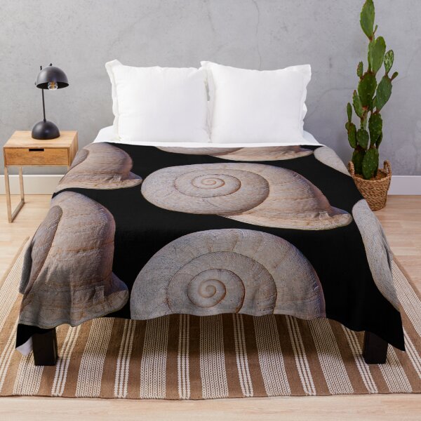 Item preview, Sea shell designed and sold by Dalyndigital Photography.