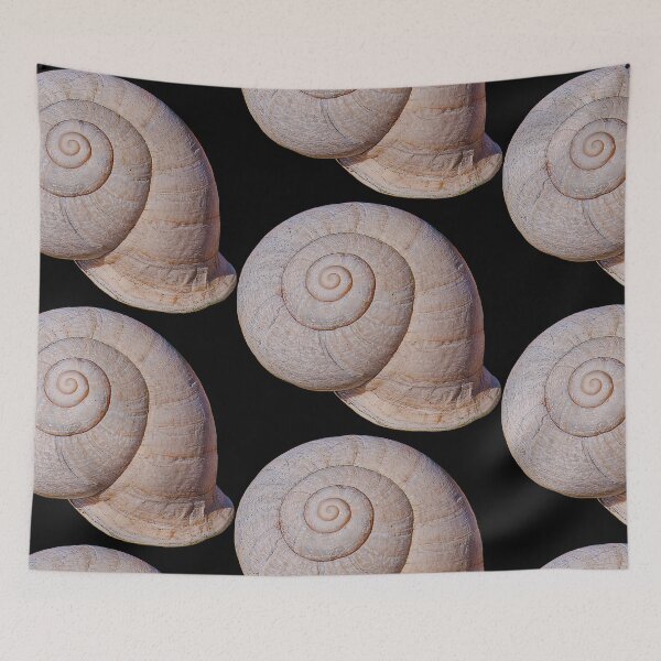 Item preview, Sea shell designed and sold by Dalyndigital Photography.