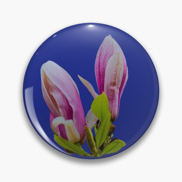 Item preview, Magnolia designed and sold by Dalyndigital Photography.