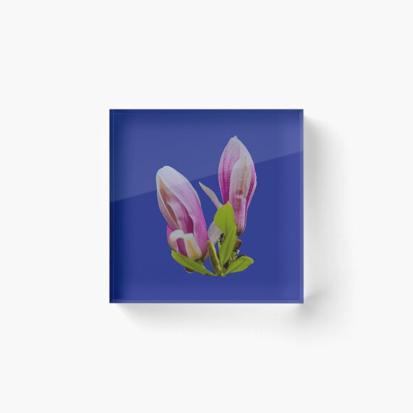Item preview, Magnolia designed and sold by Dalyndigital Photography.
