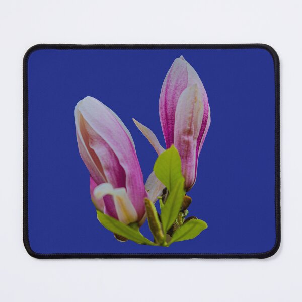 Item preview, Magnolia designed and sold by Dalyndigital Photography.