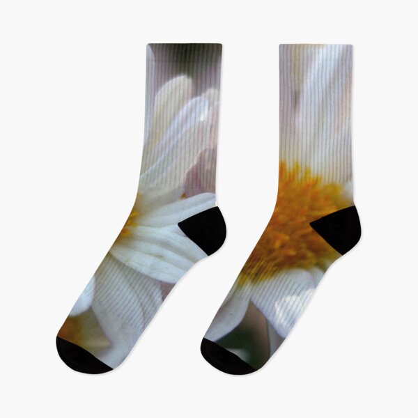 Item preview, Hazy Day Shasta Daisies Photograph designed and sold by taiche.