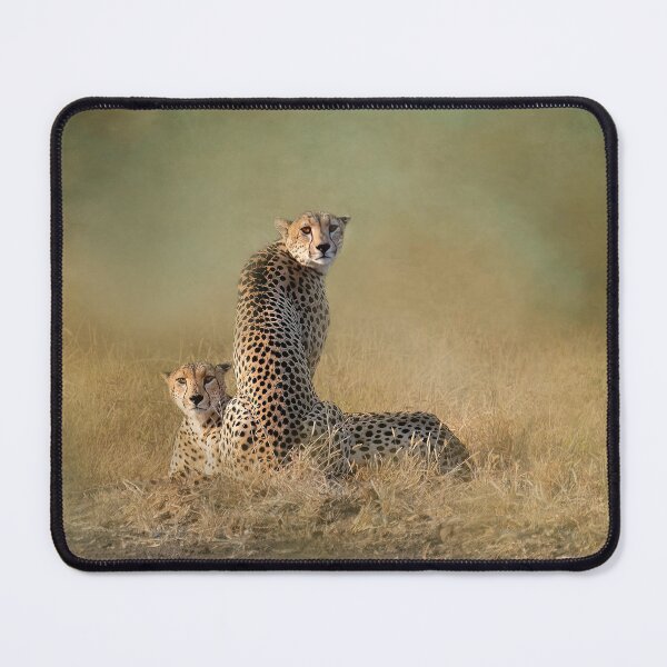 Item preview, Cheetah Siblings Watch Us designed and sold by vagabondgal.