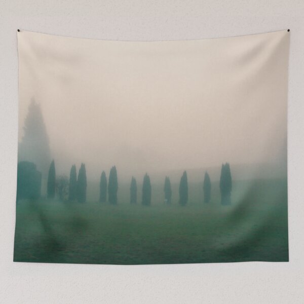 Item preview, A foggy park designed and sold by DREAMMAKER73.