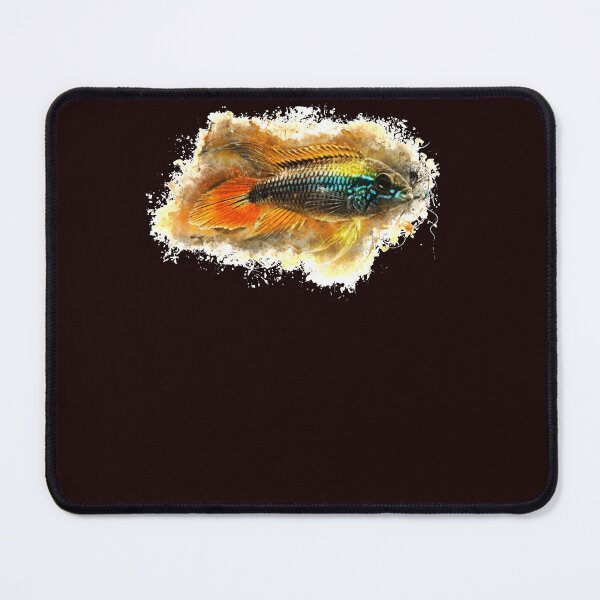 Item preview, Agassiz Dwarf Cichlid Apistogramma Agassizii designed and sold by InessFerry.
