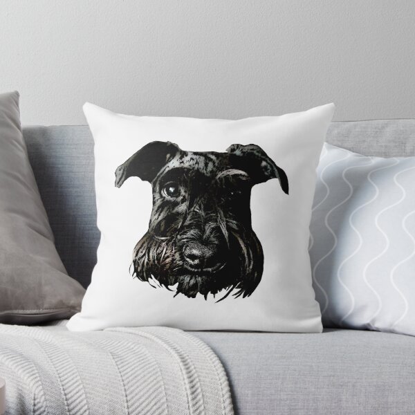 Black Schnauzer Gaze Throw Pillow