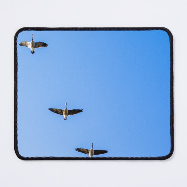 Item preview, Homeward Bound | Geese Flying Together designed and sold by Quality Design.