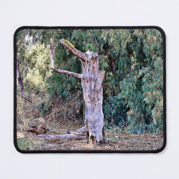 Item preview, The Belligerent Tree Stump designed and sold by Martha Sherman.