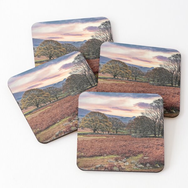 Item preview, Autumn Bracken in Wasdale Valley designed and sold by RosRidleyPhoto.